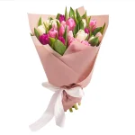 25 тюльпанов микс